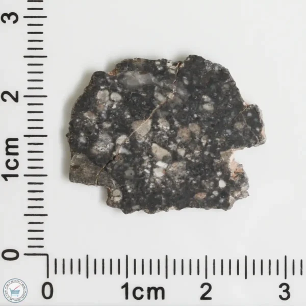 NWA 11474 Lunar Meteorite 1.47g