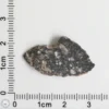 NWA 11474 Lunar Meteorite 2.40g