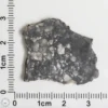 NWA 11474 Lunar Meteorite 2.93g