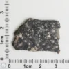 NWA 11474 Lunar Meteorite 3.53g