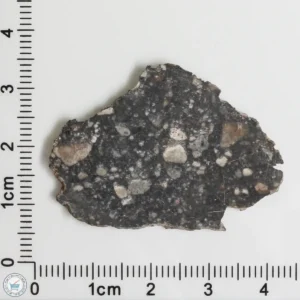 NWA 11474 Lunar Meteorite 3.94g