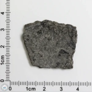 NWA 12269 (Paired) Martian Meteorite 3.60g