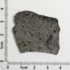 NWA 12269 (Paired) Martian Meteorite 4.17g