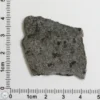 NWA 12269 (Paired) Martian Meteorite 4.29g