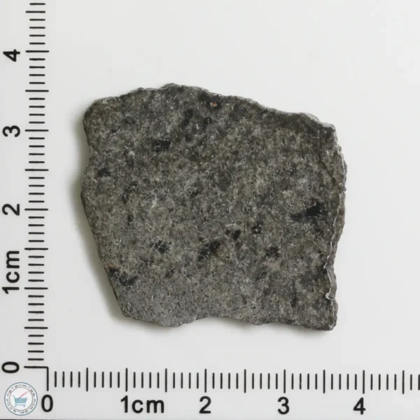 NWA 12269 (Paired) Martian Meteorite 4.53g