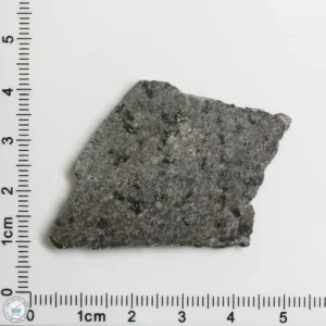 NWA 12269 (Paired) Martian Meteorite 6.90g