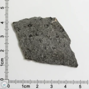 NWA 12269 (Paired) Martian Meteorite 4.20g