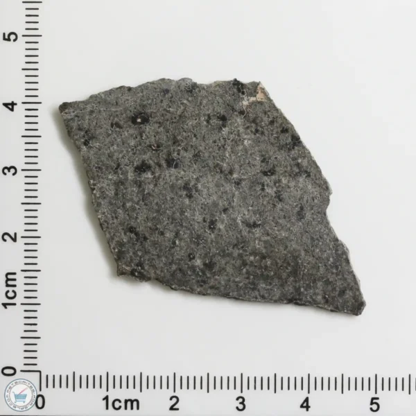 NWA 12269 (Paired) Martian Meteorite 4.20g