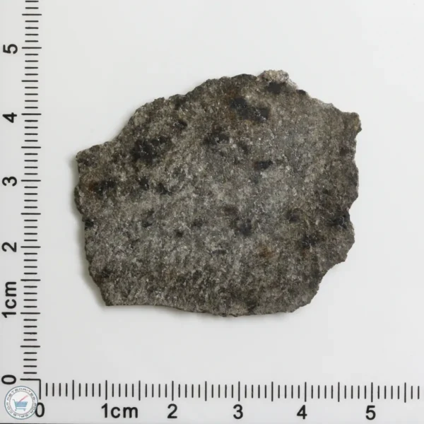 NWA 12269 (Paired) Martian Meteorite 5.70g