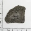 NWA 12269 (Paired) Martian Meteorite 5.98g