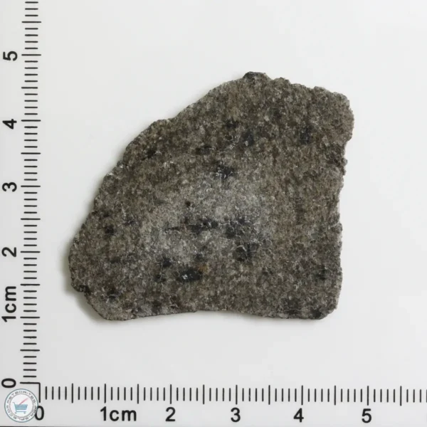 NWA 12269 (Paired) Martian Meteorite 5.98g