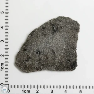 NWA 12269 (Paired) Martian Meteorite 6.19g