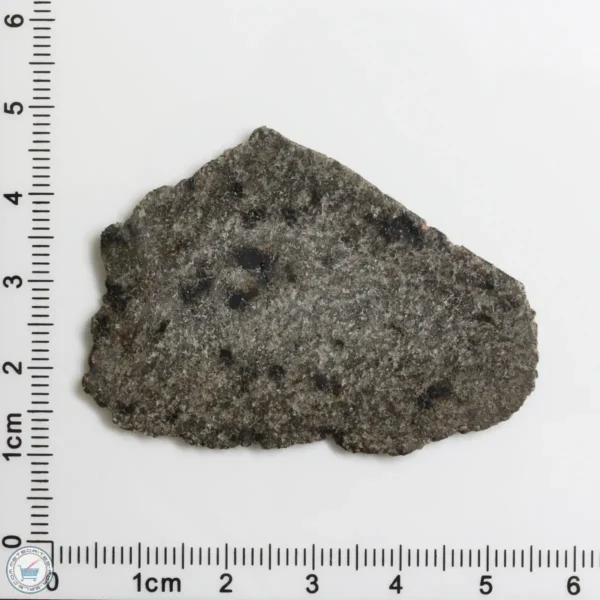 NWA 12269 (Paired) Martian Meteorite 5.80g