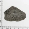 NWA 12269 (Paired) Martian Meteorite 6.43g