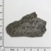 NWA 12269 (Paired) Martian Meteorite 7.04g