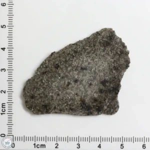 NWA 12269 (Paired) Martian Meteorite 6.06g