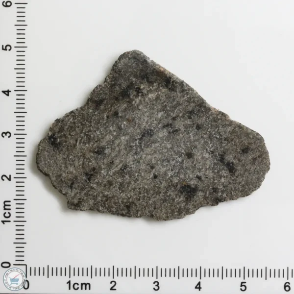 NWA 12269 (Paired) Martian Meteorite 7.72g