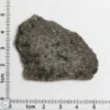 NWA 12269 (Paired) Martian Meteorite 6.96g