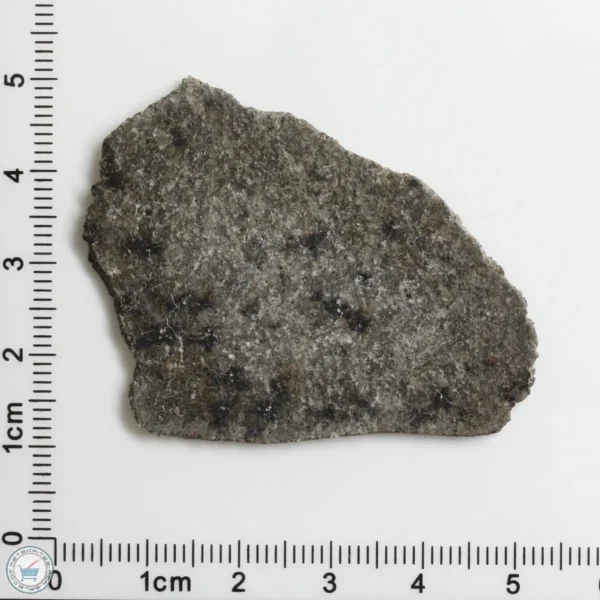 NWA 12269 (Paired) Martian Meteorite 6.96g