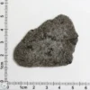 NWA 12269 (Paired) Martian Meteorite 6.89g