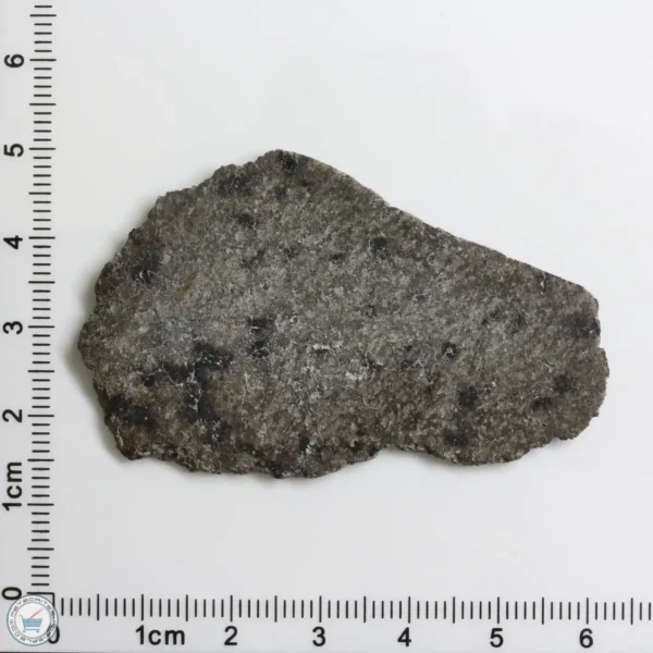 NWA 12269 (Paired) Martian Meteorite 9.14g