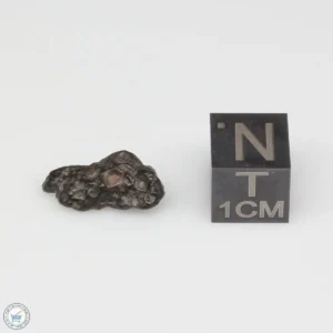 NWA 14353 CVred3 Meteorite 0.6g