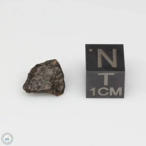 NWA 14353 CVred3 Meteorite 0.6g