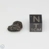 NWA 14353 CVred3 Meteorite 0.7g