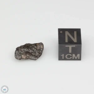 NWA 14353 CVred3 Meteorite 0.7g