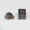 NWA 14353 CVred3 Meteorite 0.8g