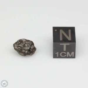 NWA 14353 CVred3 Meteorite 0.8g