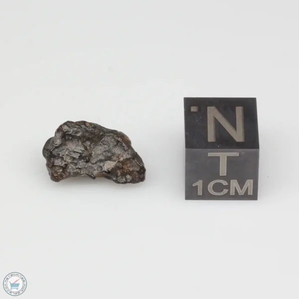 NWA 14353 CVred3 Meteorite 0.9g