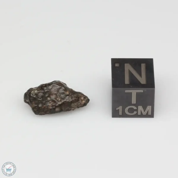 NWA 14353 CVred3 Meteorite 0.9g