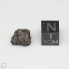 NWA 14353 CVred3 Meteorite 0.9g