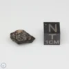 NWA 14353 CVred3 Meteorite 1.1g