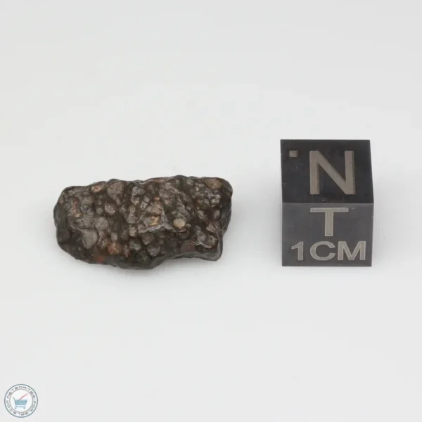 NWA 14353 CVred3 Meteorite 2.2g