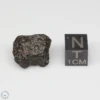 NWA 14353 CVred3 Meteorite 3.5g