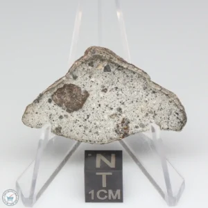 NWA 14370 Meteorite 4.2g