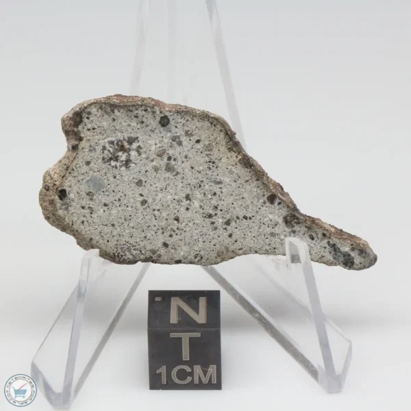 NWA 14370 Meteorite 4.3g