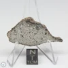 NWA 14370 Meteorite 4.8g