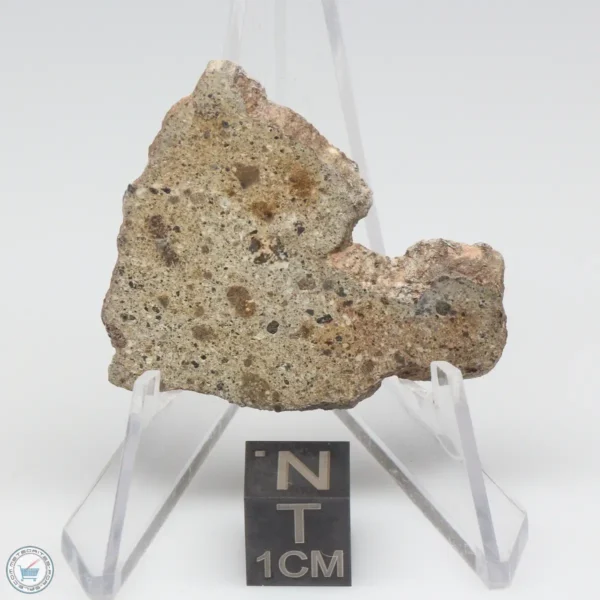 NWA 14370 Meteorite 4.2g