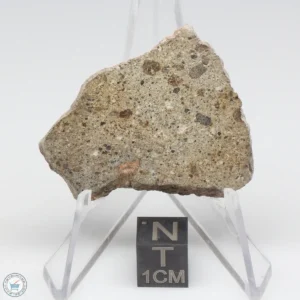 NWA 14370 Meteorite 5.9g