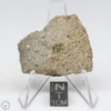 NWA 14370 Meteorite 5.8g