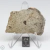 NWA 14370 Meteorite 10.1g