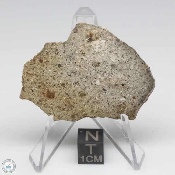 NWA 14370 Meteorite 8.7g