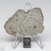 NWA 14370 Meteorite 11.9g