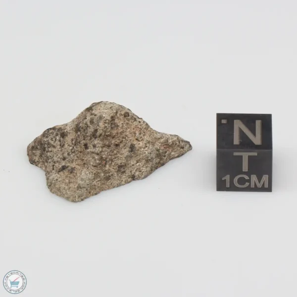 NWA 14370 Meteorite 4.1g End Cut