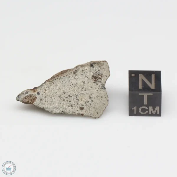 NWA 14370 Meteorite 4.1g End Cut