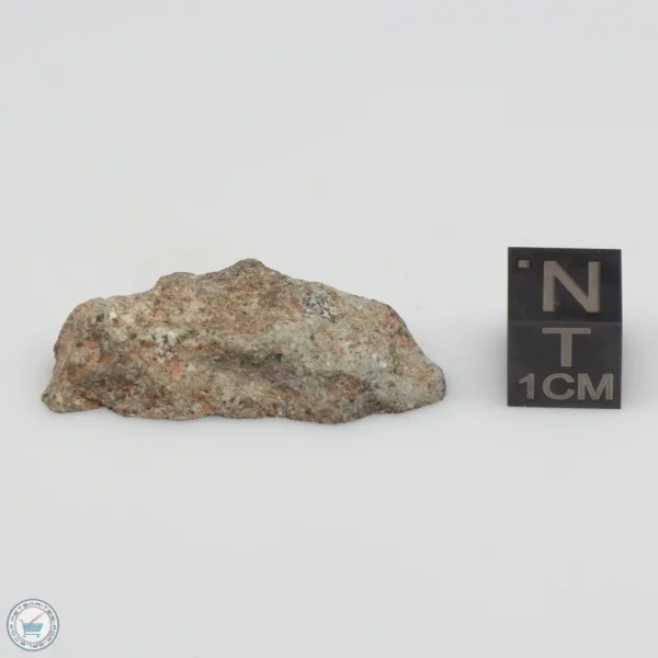 NWA 14370 Meteorite 5.2g End Cut