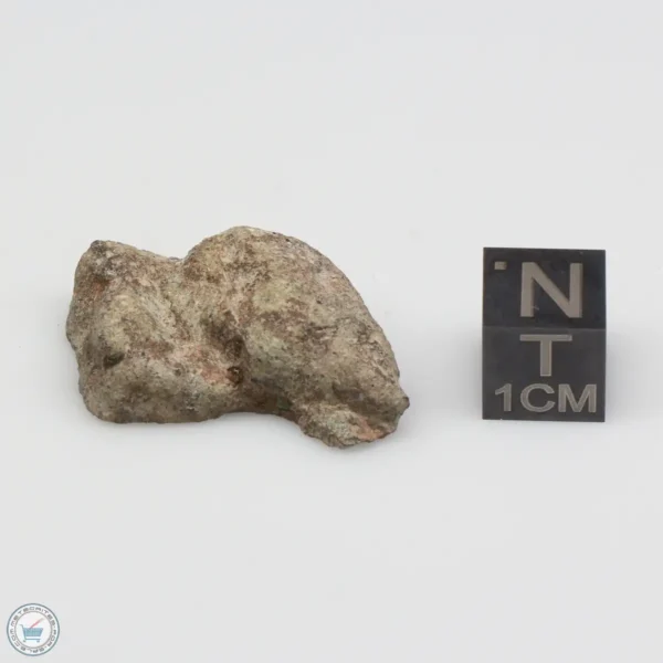 NWA 14370 Meteorite 7.1g End Cut